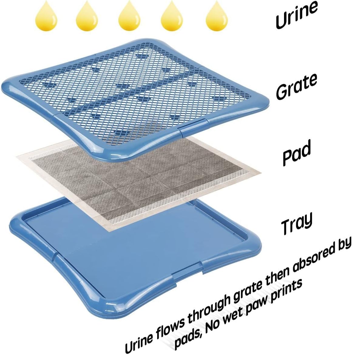 Training Pad Holder Floor Protection Dog Pad Holder Mesh Training Tray (M-18"x24")…