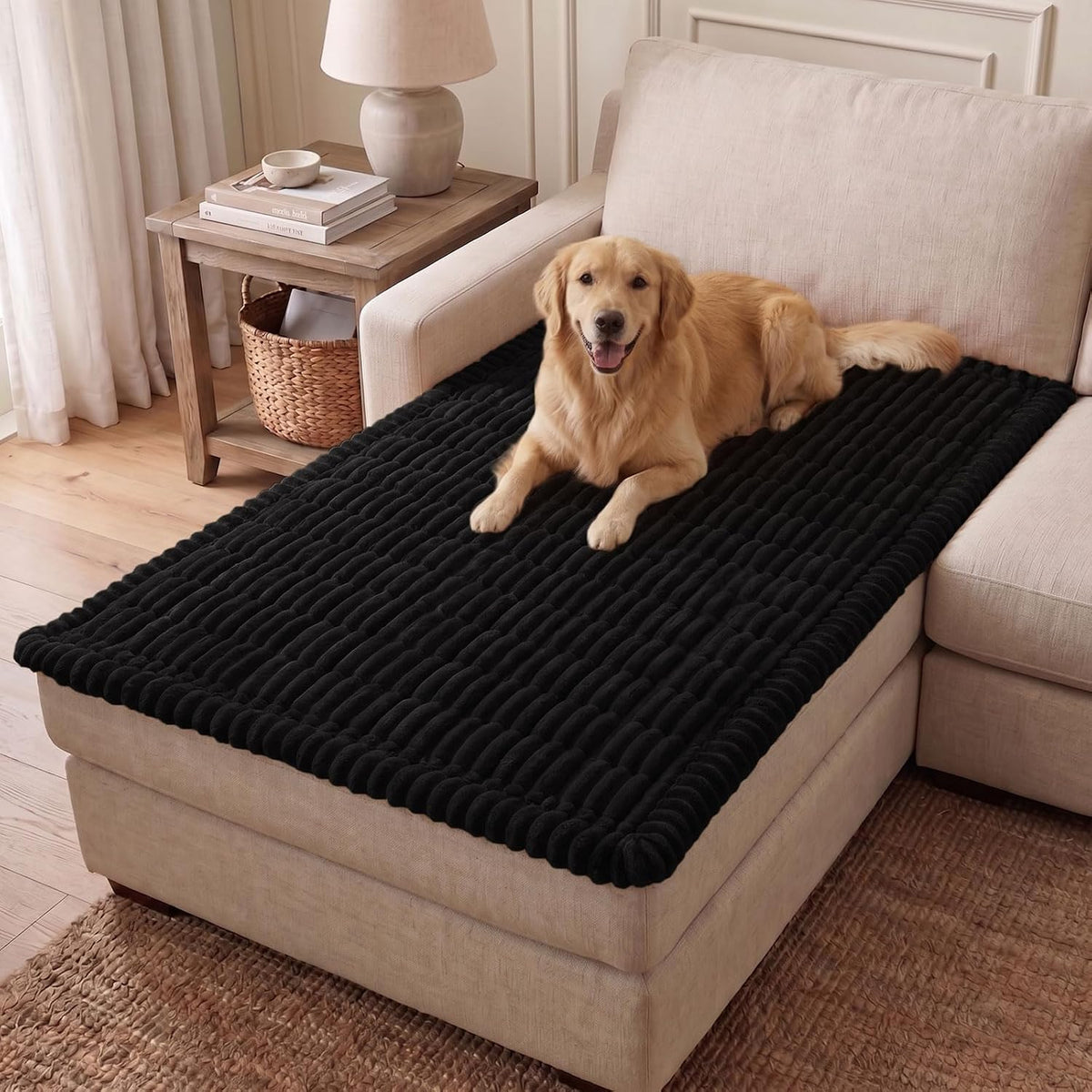 Couch Cover for Dogs, Washable Non Slip Plush Flannel Sofa Protector | Thick Flannel, Anti-Slip Backing, Pet Hair & Scratch Protection, Fits Sofa & Loveseat (27.6" x 59") - Colors B