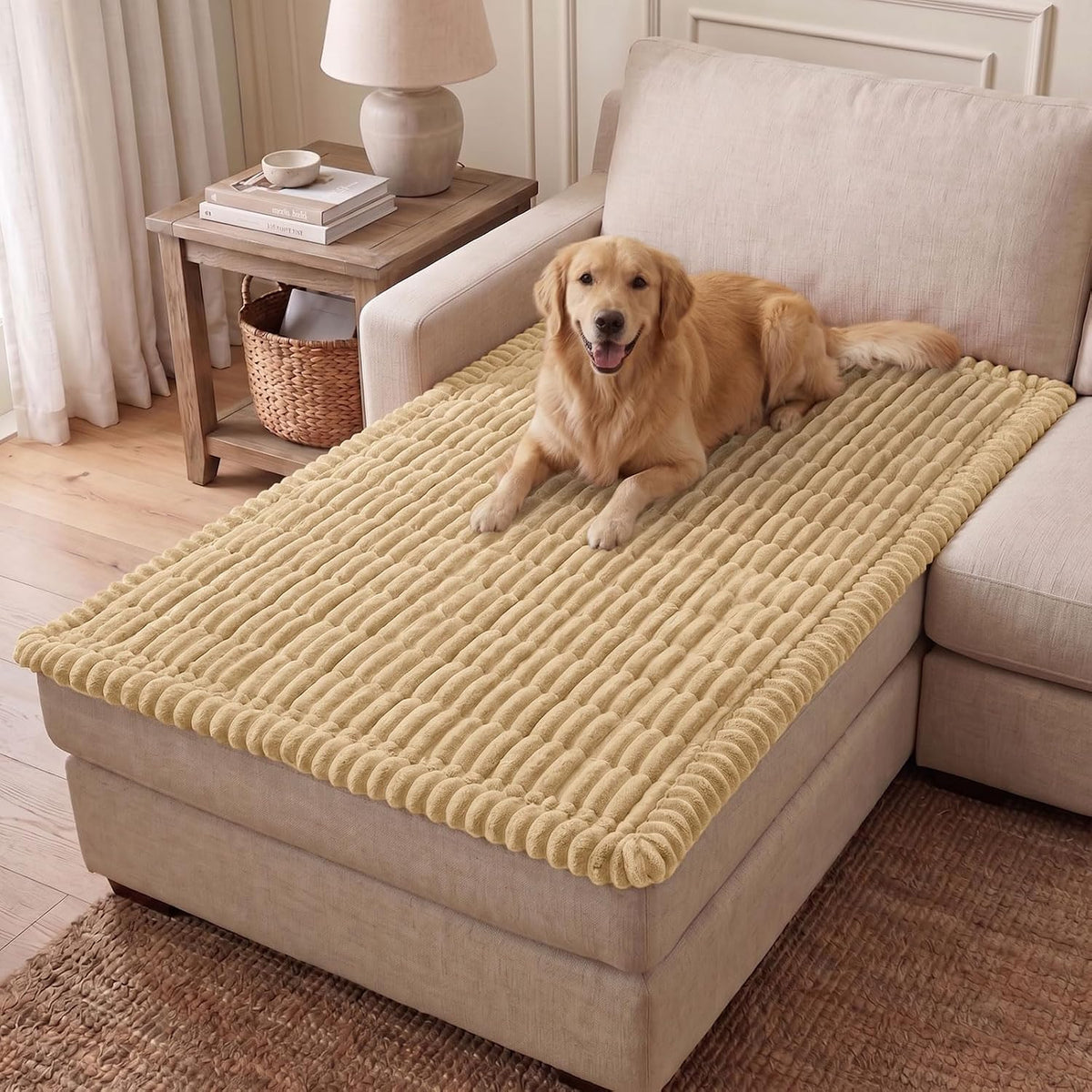 Couch Cover for Dogs, Washable Non Slip Plush Flannel Sofa Protector | Thick Flannel, Anti-Slip Backing, Pet Hair & Scratch Protection, Fits Sofa & Loveseat (27.6" x 59") - Colors B