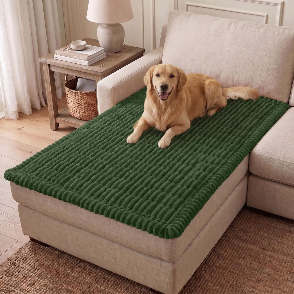 Couch Cover for Dogs, Washable Non Slip Plush Flannel Sofa Protector | Thick Flannel, Anti-Slip Backing, Pet Hair & Scratch Protection, Fits Sofa & Loveseat (27.6" x 59") - Colors B