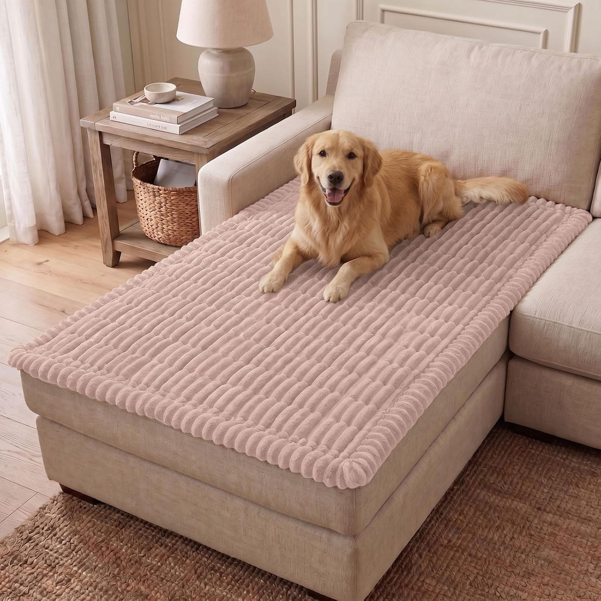 Couch Cover for Dogs, Washable Non Slip Plush Flannel Sofa Protector | Thick Flannel, Anti-Slip Backing, Pet Hair & Scratch Protection, Fits Sofa & Loveseat (27.6" x 59") - Colors B