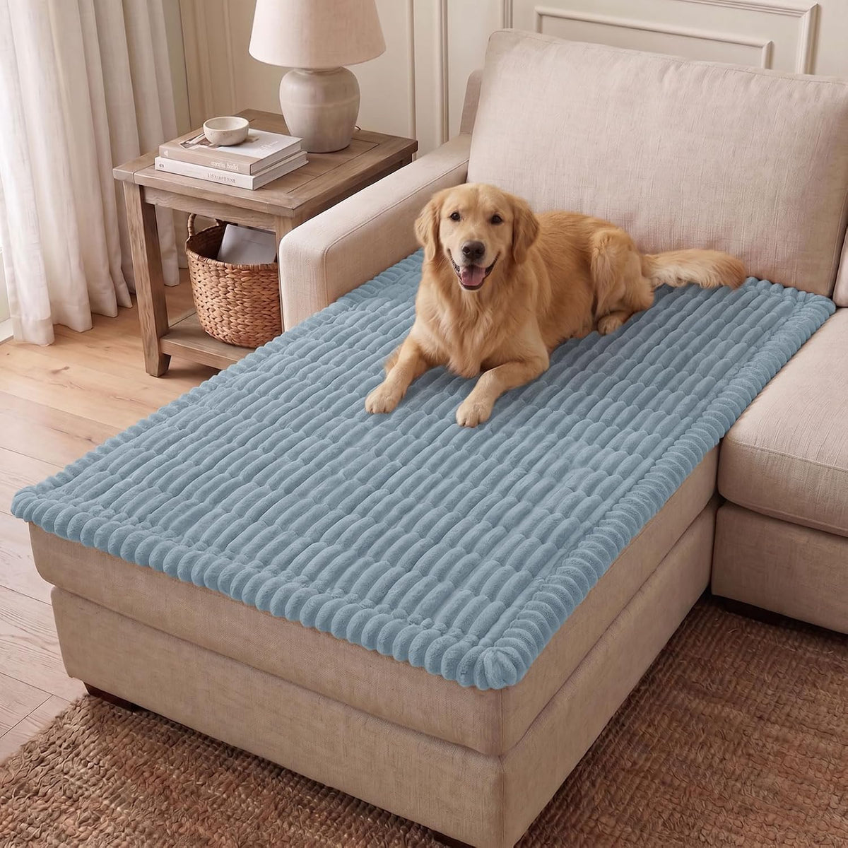 Couch Cover for Dogs, Washable Non Slip Plush Flannel Sofa Protector | Thick Flannel, Anti-Slip Backing, Pet Hair & Scratch Protection, Fits Sofa & Loveseat (27.6" x 59") - Colors B