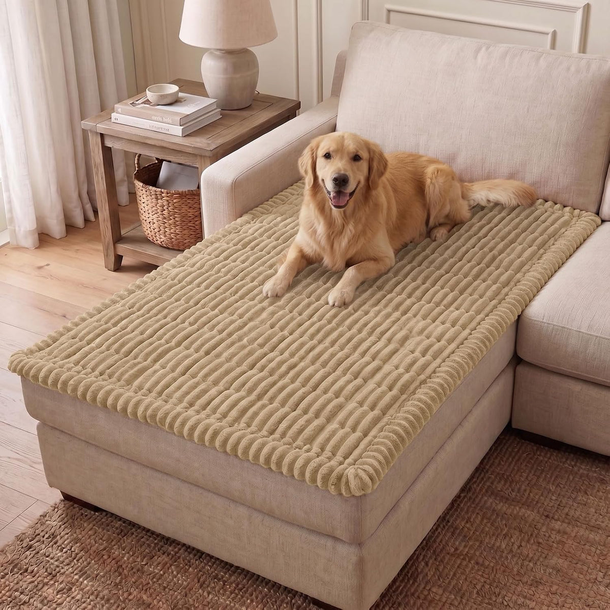Couch Cover for Dogs, Washable Non Slip Plush Flannel Sofa Protector | Thick Flannel, Anti-Slip Backing, Pet Hair & Scratch Protection, Fits Sofa & Loveseat (27.6" x 59") - Colors B