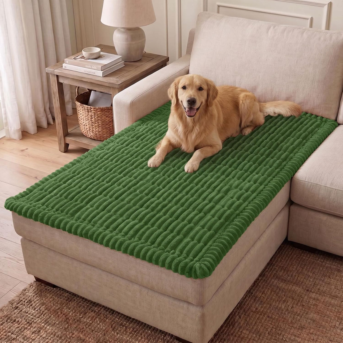 Couch Cover for Dogs, Washable Non Slip Plush Flannel Sofa Protector | Thick Flannel, Anti-Slip Backing, Pet Hair & Scratch Protection, Fits Sofa & Loveseat (27.6" x 59") - Colors B