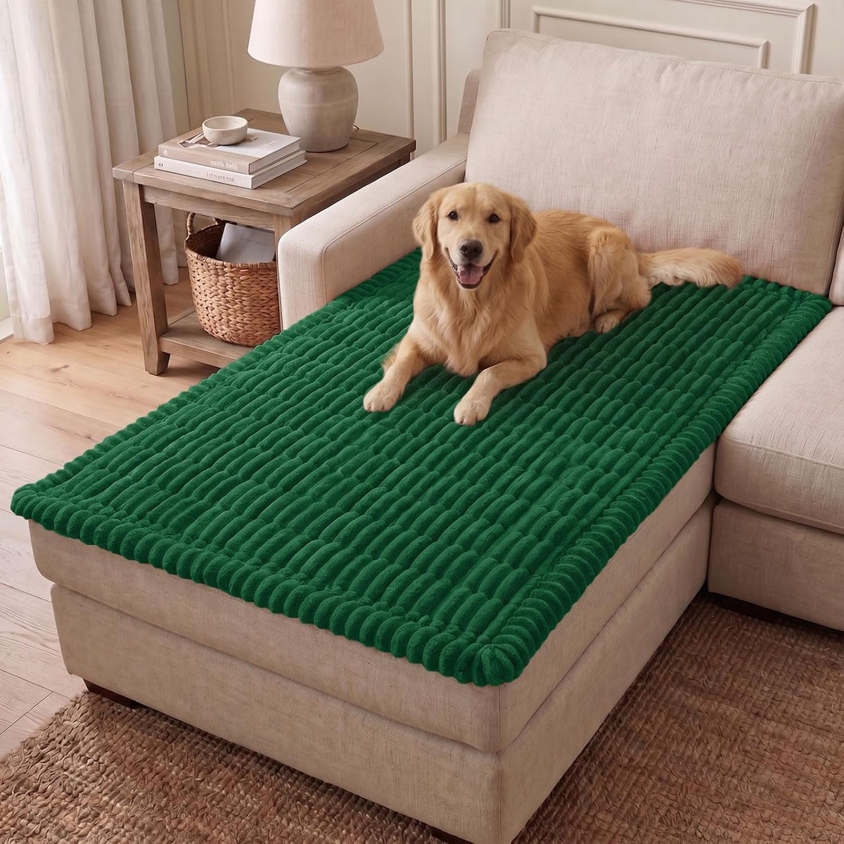 Couch Cover for Dogs, Washable Non Slip Plush Flannel Sofa Protector | Thick Flannel, Anti-Slip Backing, Pet Hair & Scratch Protection, Fits Sofa & Loveseat (27.6" x 59") - Colors B
