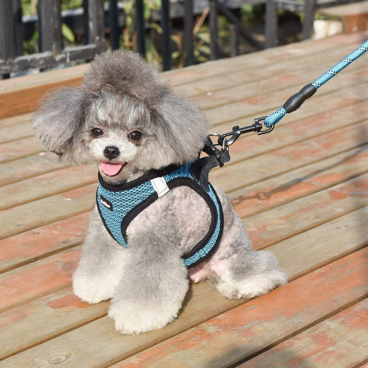 Dog Harness Step-in Breathable Puppy Cat Vest, Medium, Blue