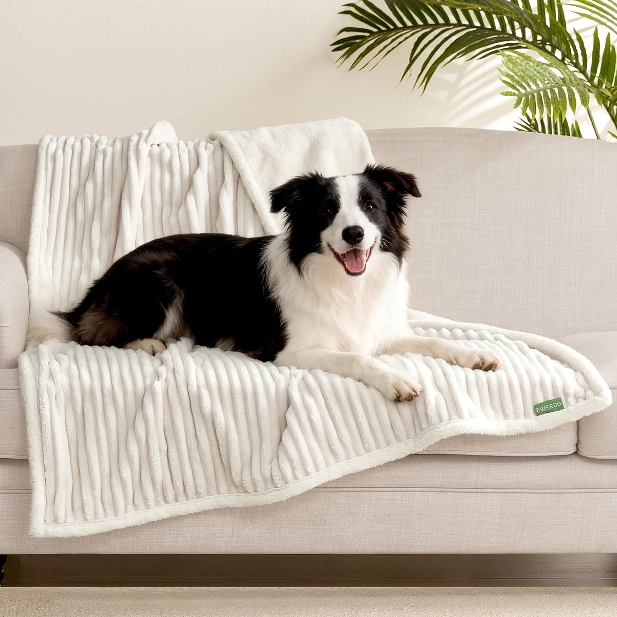 Waterproof Dog Blanket for Couch - Washable Medium Pet Blanket for Furniture Protector, Cozy Fleece Calming Dog Crate Blankets for Indoors & Outdoors, Cream, 30"x40"