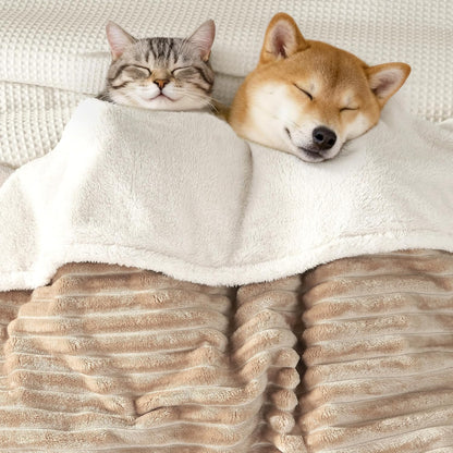 Waterproof Dog Blanket for Couch - Washable Medium Pet Blanket for Furniture Protector, Cozy Fleece Calming Dog Crate Blankets for Indoors & Outdoors, Cream, 30"x40"