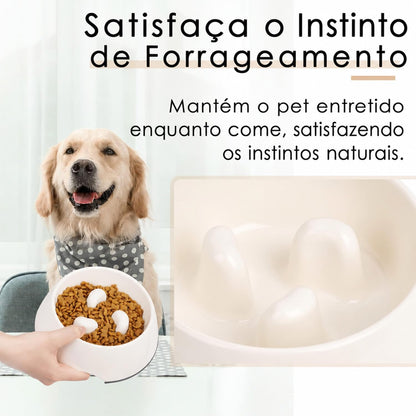 Slow Feeder Dog Bowl Cat Bowl 1/2 Cup Slow Feeding Dog Bowl for Small Medium Breed Anti Gulping Healthy Eating Interactive Bloat Stop Fun Alternative Non Slip Puzzle Dog Food Bowl, White