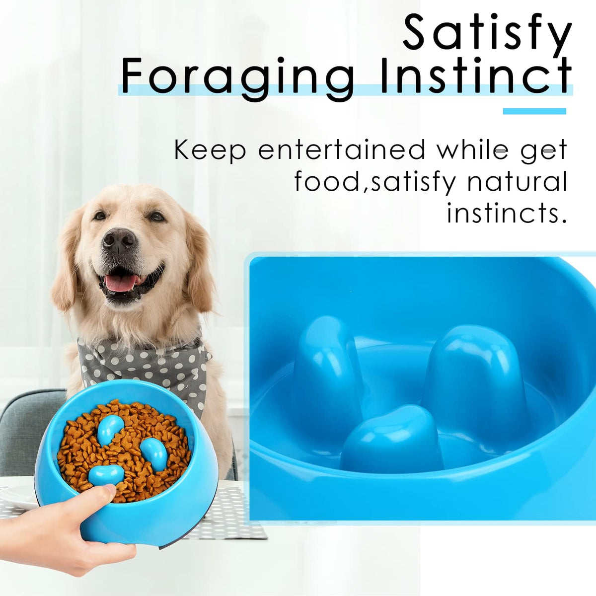 Slow Feeder Dog Bowl Cat Bowl 1/2 Cup Slow Feeding Dog Bowl for Small Medium Breed Anti Gulping Healthy Eating Interactive Bloat Stop Fun Alternative Non Slip Puzzle Dog Food Bowl, White