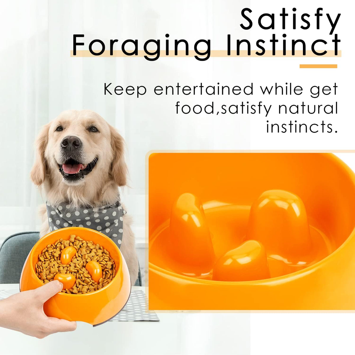 Slow Feeder Dog Bowl Cat Bowl 1/2 Cup Slow Feeding Dog Bowl for Small Medium Breed Anti Gulping Healthy Eating Interactive Bloat Stop Fun Alternative Non Slip Puzzle Dog Food Bowl, White