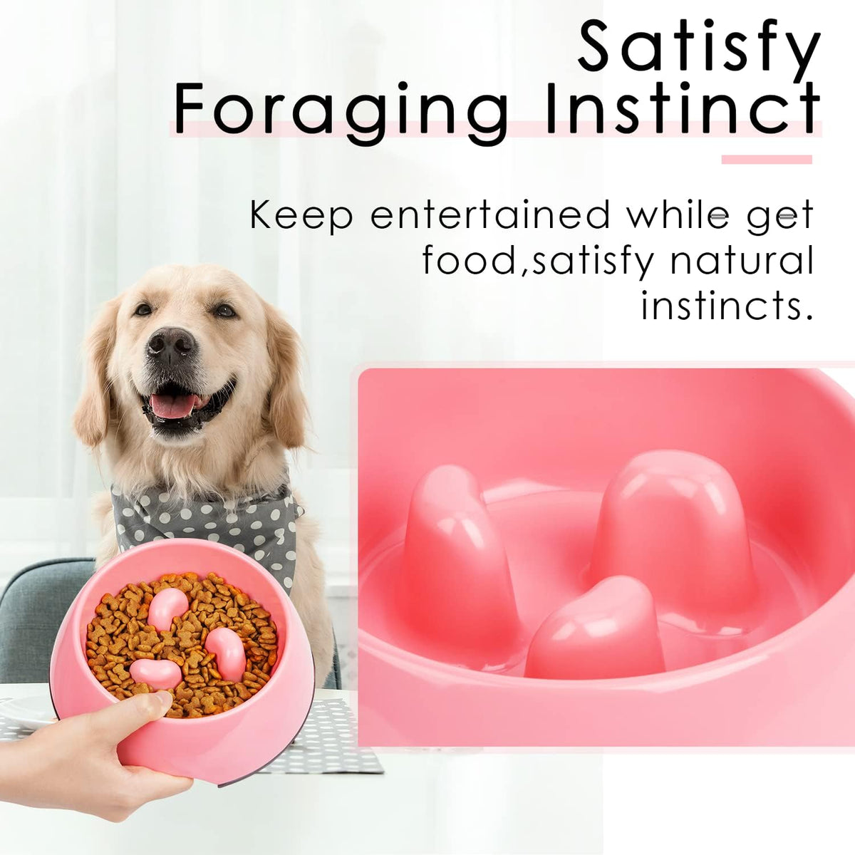 Slow Feeder Dog Bowl Cat Bowl 1/2 Cup Slow Feeding Dog Bowl for Small Medium Breed Anti Gulping Healthy Eating Interactive Bloat Stop Fun Alternative Non Slip Puzzle Dog Food Bowl, White