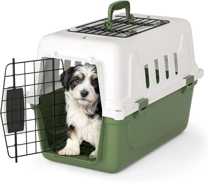 18 Inch Hard-Sided Dog Cat Carrier, Green