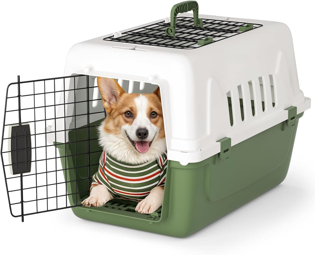 18 Inch Hard-Sided Dog Cat Carrier, Green