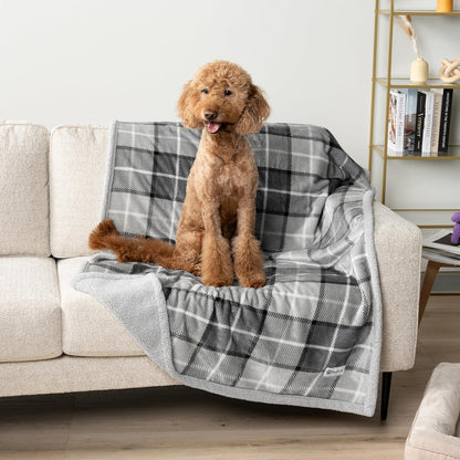 PetAmi Waterproof Dog Blanket for Couch, Large 60x40, Pee Proof Sherpa Fleece Reversible Pet Throw, Furniture Protector for Bed Sofa Kennel, Soft Washable Cover for Medium Dogs Cats, Grey Sherpa