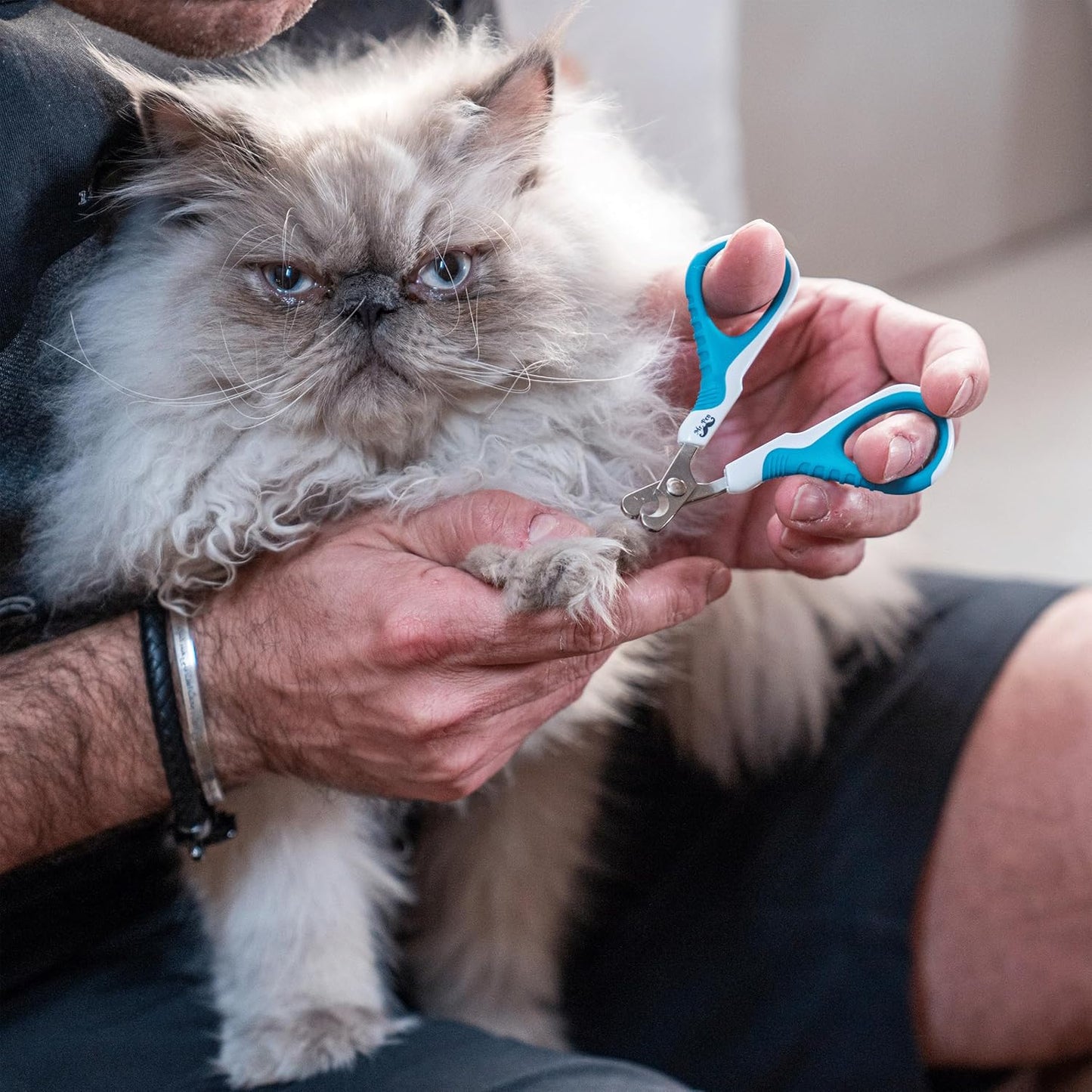 Mr. Pen- Cat Nail Clipper, Stainless Steel, Professional Sharp Cat Claw Trimmer for Small and Medium Cats, Pet Nail Clipper with Sturdy Non Slip Handle