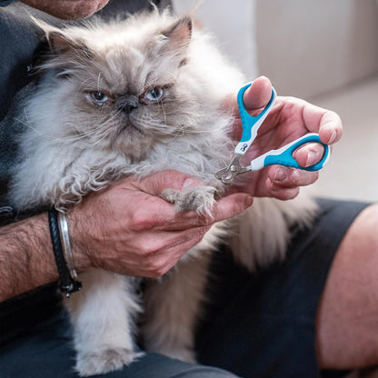 Mr. Pen- Cat Nail Clipper, Stainless Steel, Professional Sharp Cat Claw Trimmer for Small and Medium Cats, Pet Nail Clipper with Sturdy Non Slip Handle