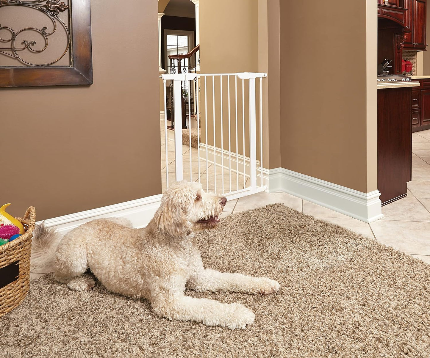 MidWest Homes for Pets 39-Inch High Walk-Thru Pressure Mounted Steel Dog Gate, Expands to 38 Inches Wide, Includes 3-inch Extensions, Textured Graphite