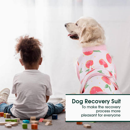 Recovery Suit for Dogs Cats, Soft Dog Surgery Suit Female Male Spay