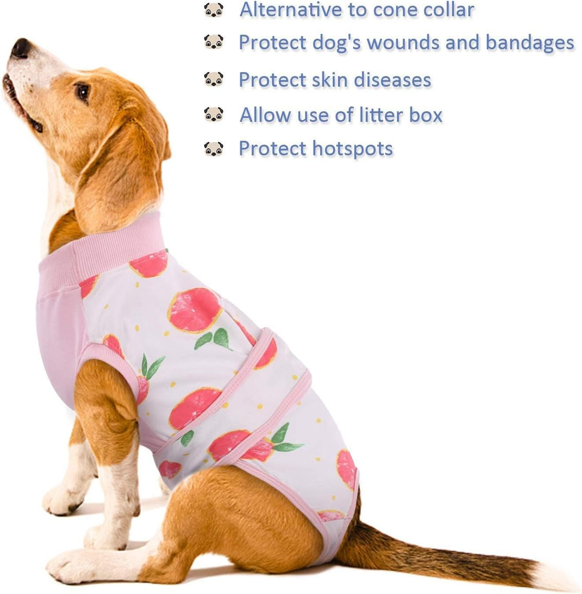 Recovery Suit for Dogs Cats, Soft Dog Surgery Suit Female Male Spay