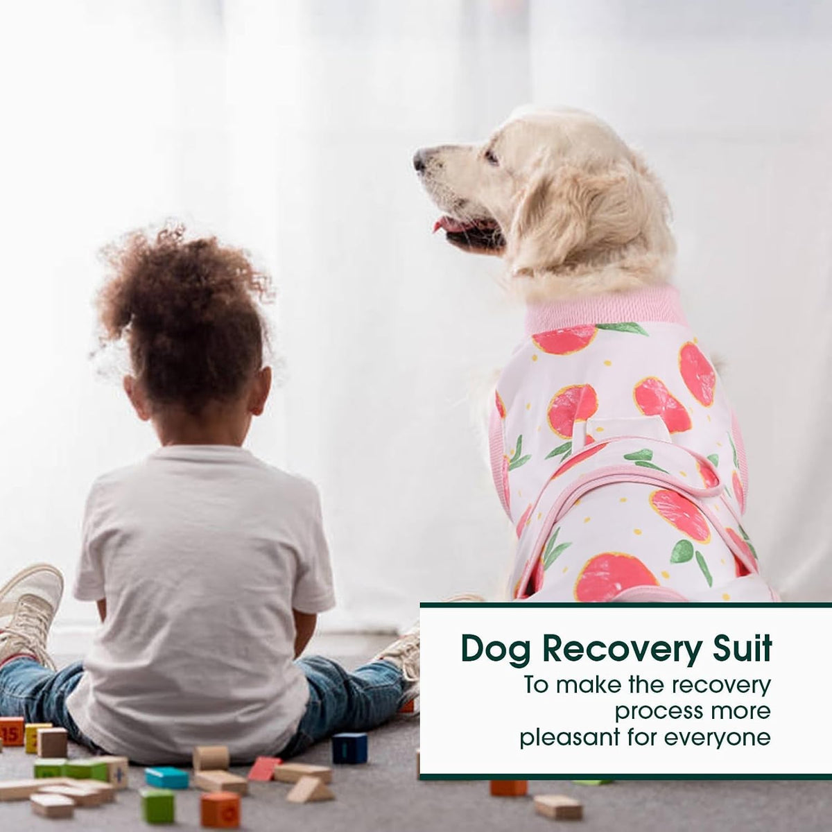 Recovery Suit for Dogs Cats, Soft Dog Surgery Suit Female Male Spay