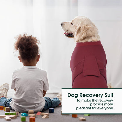 Recovery Suit for Dogs Cats, Soft Dog Surgery Suit Female Male Spay