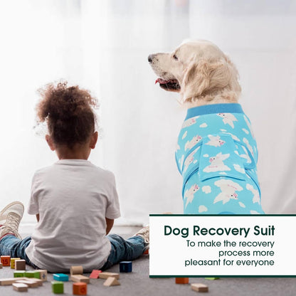 Recovery Suit for Dogs Cats, Soft Dog Surgery Suit Female Male Spay