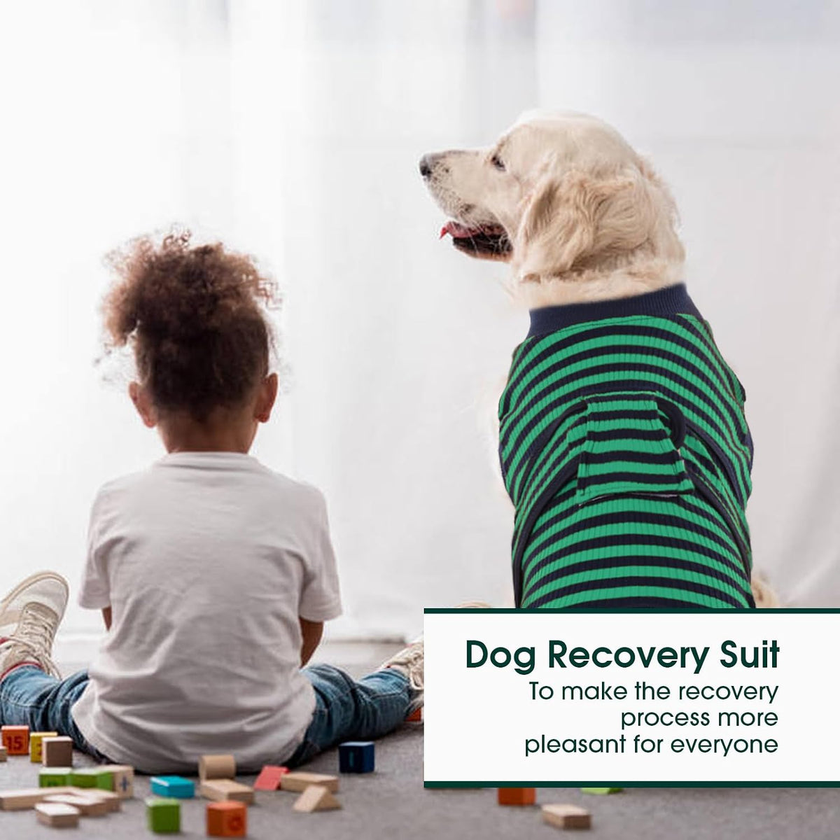 Recovery Suit for Dogs Cats, Soft Dog Surgery Suit Female Male Spay