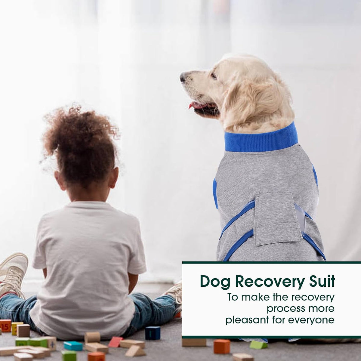Recovery Suit for Dogs Cats, Soft Dog Surgery Suit Female Male Spay