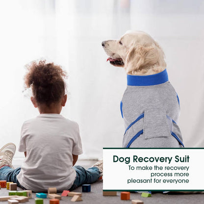 Recovery Suit for Dogs Cats, Soft Dog Surgery Suit Female Male Spay