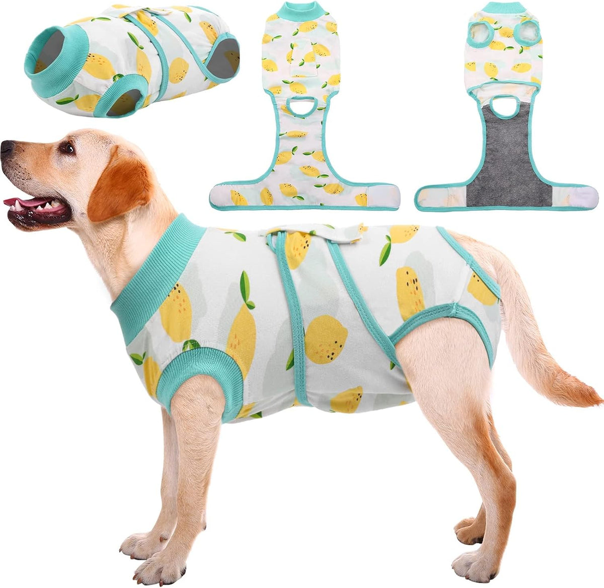 Recovery Suit for Dogs Cats, Soft Dog Surgery Suit Female Male Spay