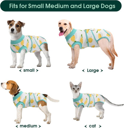 Recovery Suit for Dogs Cats, Soft Dog Surgery Suit Female Male Spay