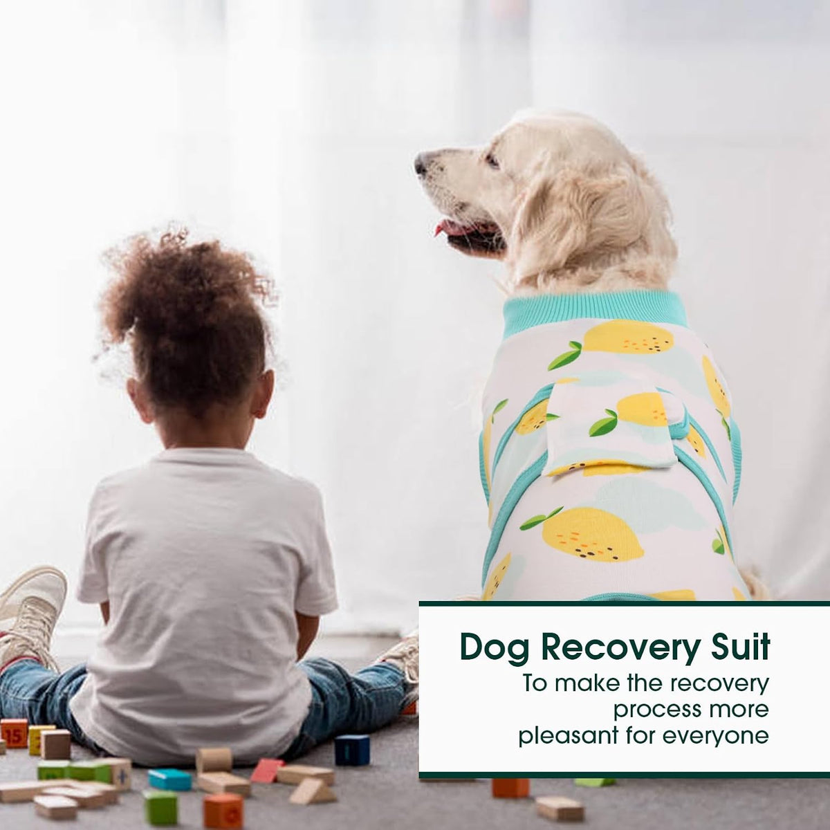 Recovery Suit for Dogs Cats, Soft Dog Surgery Suit Female Male Spay