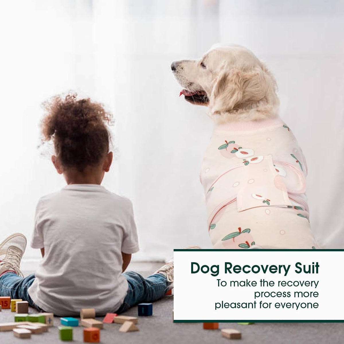 Recovery Suit for Dogs Cats, Soft Dog Surgery Suit Female Male Spay