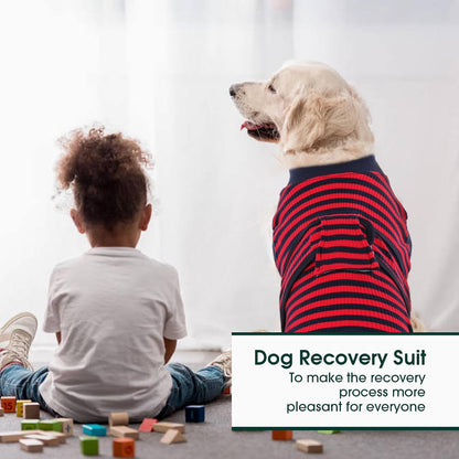 Recovery Suit for Dogs Cats, Soft Dog Surgery Suit Female Male Spay
