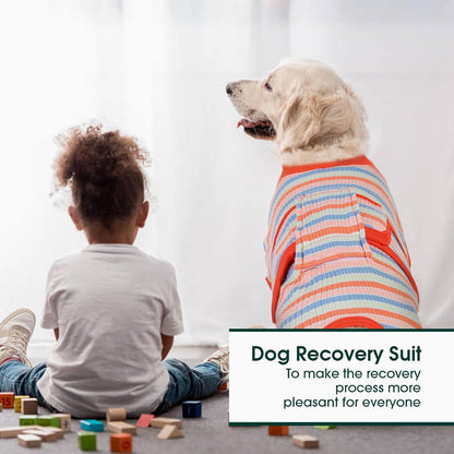 Recovery Suit for Dogs Cats, Soft Dog Surgery Suit Female Male Spay