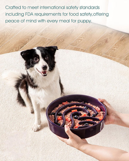 vancasso Slow Feeder Dog Bowl, 1.5 Cup Ceramic Slow Feeding Food Dish for Small and Medium Breed, Puzzle Dog Food Bowl for Fast Eater, Pink