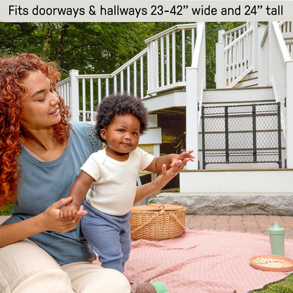 Ingenuity Doorway 42W Series Dog and Baby Gate, Indoor Outdoor, Won't Rust or Fade, Plastic Panel, Fits 23-42" Openings, 24” Tall