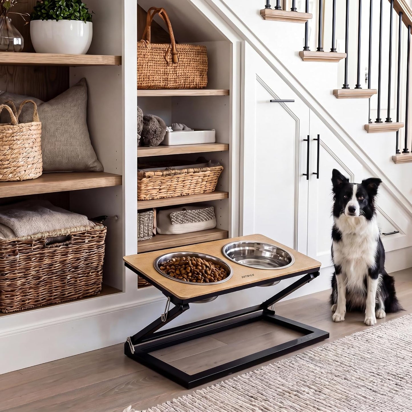 Elevated Dog Bowls, Adjustable Raised Dog Bowl Stand with 2 Stainless Steel Food Bowls 20°Tilted Water Bowls for Medium Small Sized Dogs (Black, Medium)