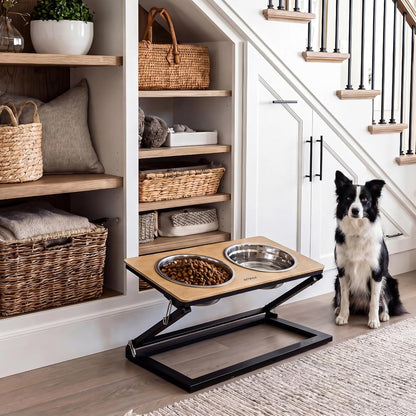 Elevated Dog Bowls, Adjustable Raised Dog Bowl Stand with 2 Stainless Steel Food Bowls 20°Tilted Water Bowls for Medium Small Sized Dogs (Black, Medium)