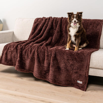 PetAmi Fluffy Waterproof Dog Blanket for Couch and Bed, Reversible Sherpa Pet Throw, Pee Proof Furniture Protector Sofa Cover, Washable Cat Blanket for Medium Large Dogs and Cats (Beige Cream, 60x80)