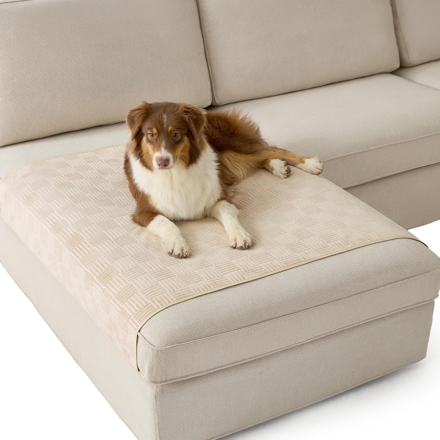 Bedsure Waterproof Couch Cover for Dogs Washable - Waterproof Blanket for Large Dogs Couch Sofa Bed Cozy, Lightweight Furniture Protector for Pet Cat Quick Drying, Ash Grey, 52x82IN