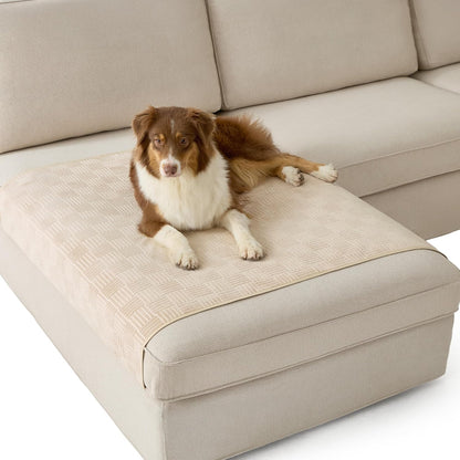 Bedsure Waterproof Couch Cover for Dogs Washable - Waterproof Blanket for Large Dogs Couch Sofa Bed Cozy, Lightweight Furniture Protector for Pet Cat Quick Drying, Ash Grey, 52x82IN