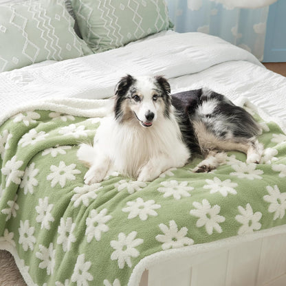 LE SURE Waterproof Dog Blanket for Large Dogs - Washable Double Sided Dog Blankets with Warm Jacquard Shag and Soft Sherpa Fleece, Pet Cat Blanket for Couch Protection, 3D Textured Cloud, Green