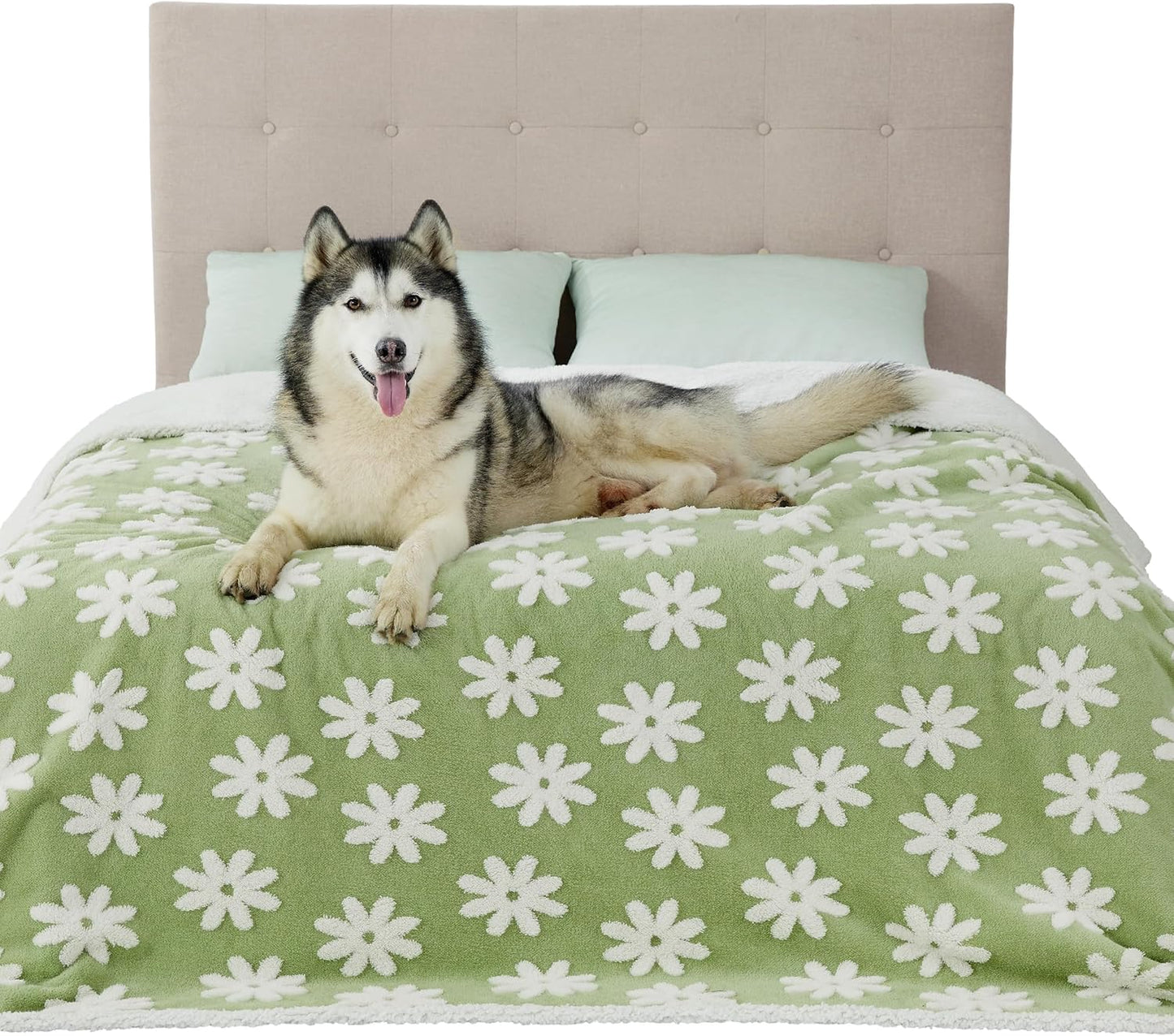 LE SURE Waterproof Dog Blanket for Large Dogs - Washable Double Sided Dog Blankets with Warm Jacquard Shag and Soft Sherpa Fleece, Pet Cat Blanket for Couch Protection, 3D Textured Cloud, Green