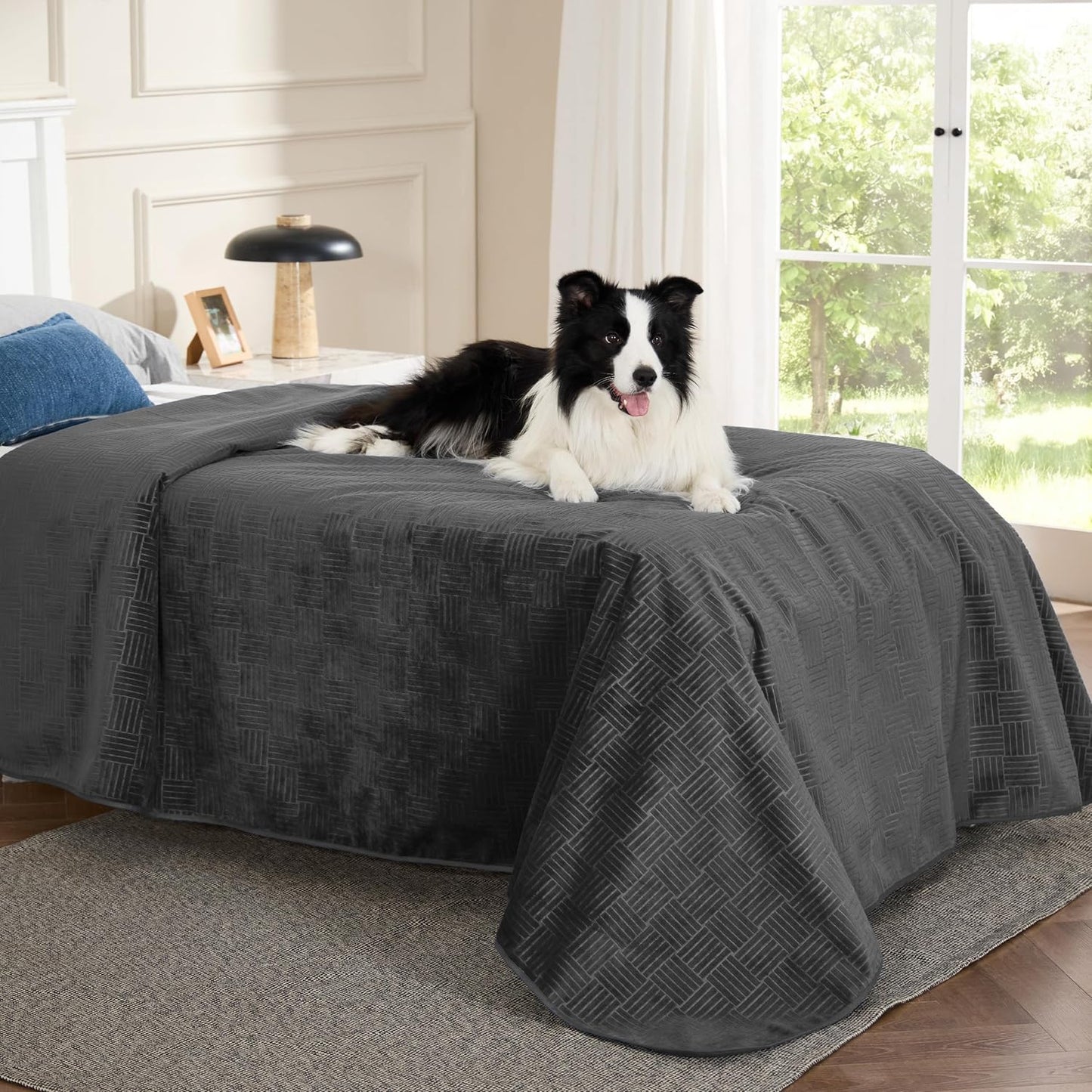 Bedsure Waterproof Couch Cover for Dogs Washable - Waterproof Blanket for Large Dogs Couch Sofa Bed Cozy, Lightweight Furniture Protector for Pet Cat Quick Drying, Ash Grey, 52x82IN