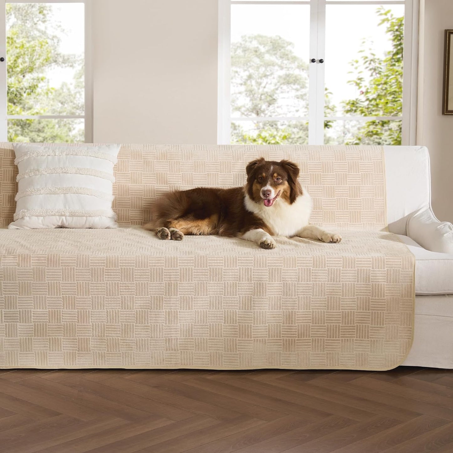 Bedsure Waterproof Couch Cover for Dogs Washable - Waterproof Blanket for Large Dogs Couch Sofa Bed Cozy, Lightweight Furniture Protector for Pet Cat Quick Drying, Ash Grey, 52x82IN
