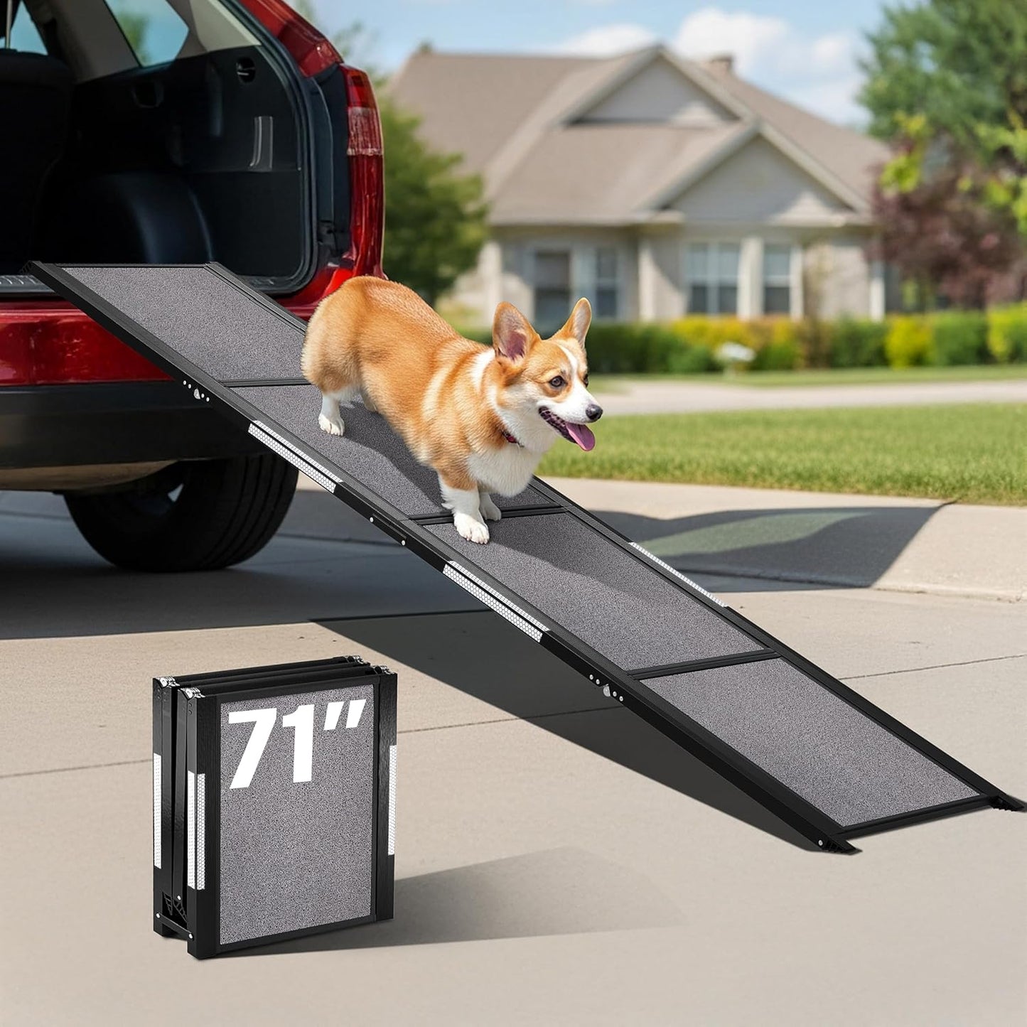 Portable Dog Ramp for Car – Foldable Dog Car Ramp for Truck, SUV, High Bed & Sofa with Anti-Slip Feet & Traction Carpet – Small to Large Breeds (63" Long & 17" Wide)