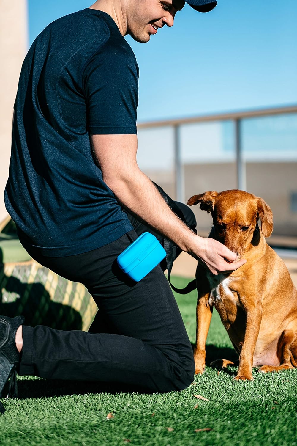Dexas Pets Pooch Pouch Flexible Dog Treat/Training Treat Clip Pouch, Pro Blue
