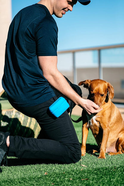 Dexas Pets Pooch Pouch Flexible Dog Treat/Training Treat Clip Pouch, Pro Blue